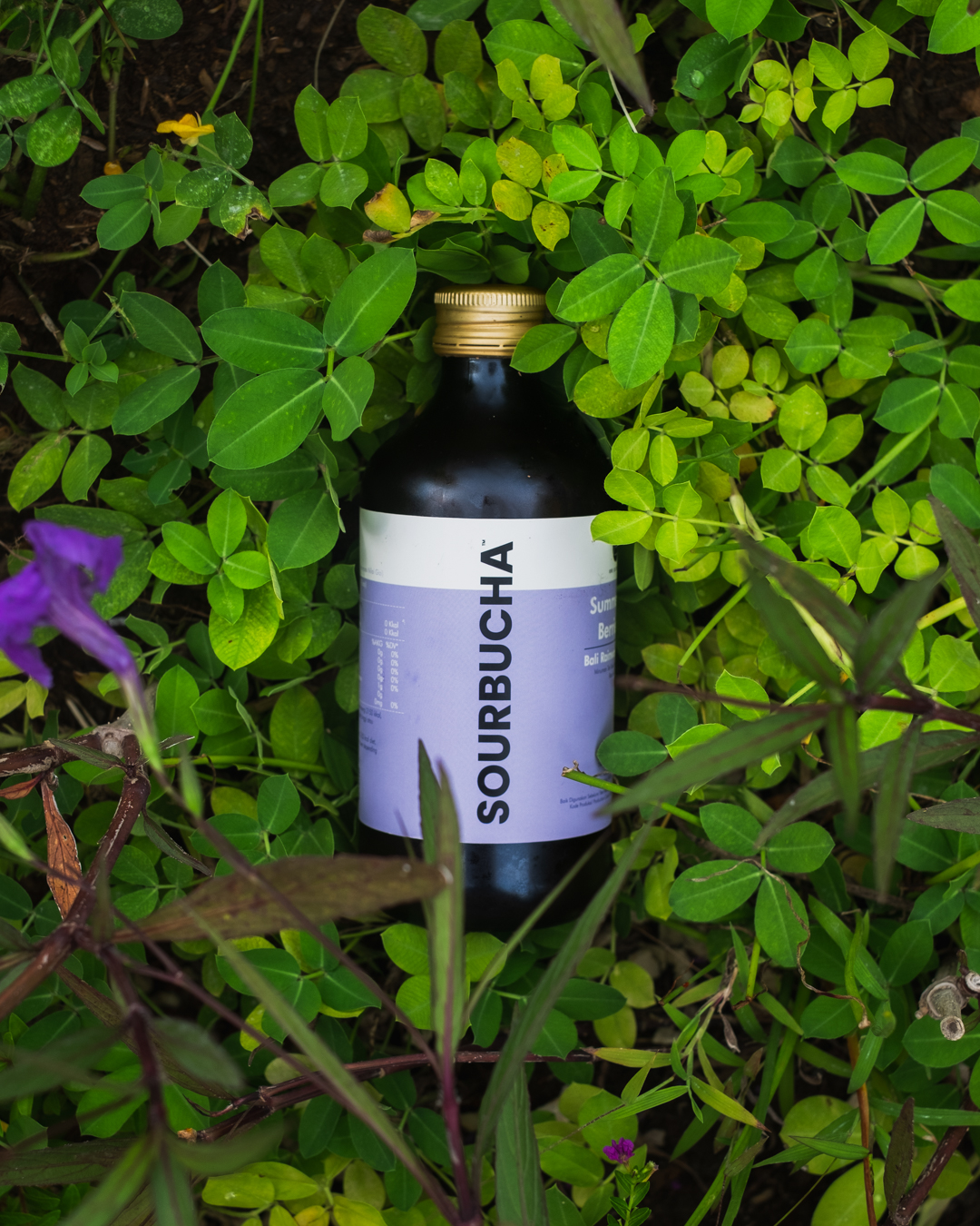 Bali Rain Water Kombucha